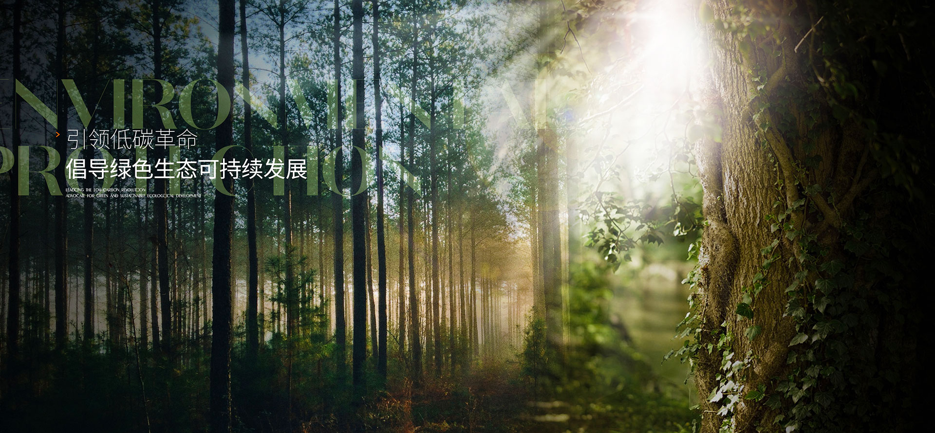 杰家