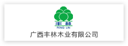 廣西豐林木業有限公司